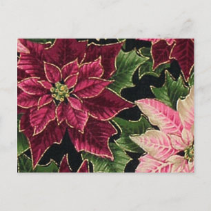 Retro 50s Poinsettia Burgundy Pink Postcard