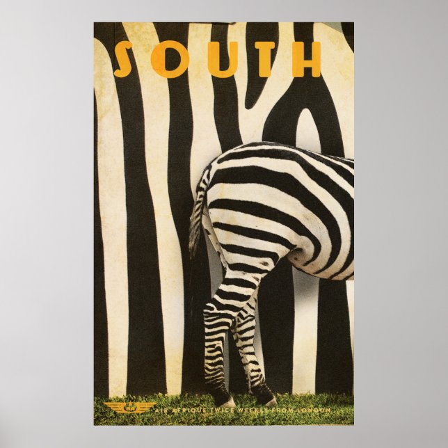 Retro African Mountain Zebra Poster - Part 1 (Front)