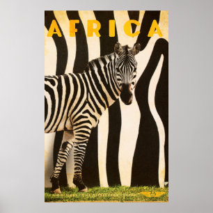 Retro African Mountain Zebra Poster - Part 2