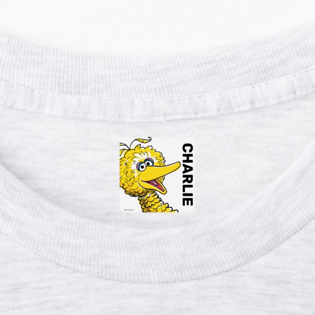 Retro Art Big Bird (Affixed)