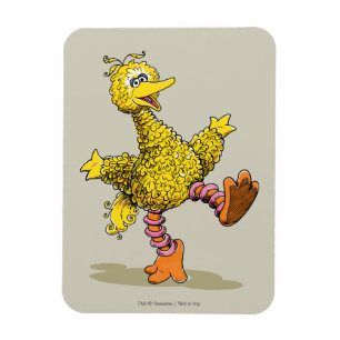 Retro Art Big Bird Magnet