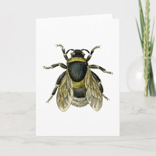 Retro Bee Antique Illustration Black and Yellow Card