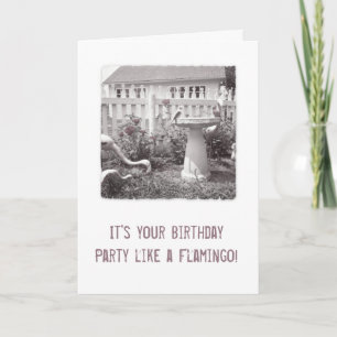 Retro Birthday Flamingo Cute Garden Birdbath Card