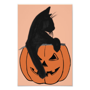 Retro Black cat in pumpkin Photo Print