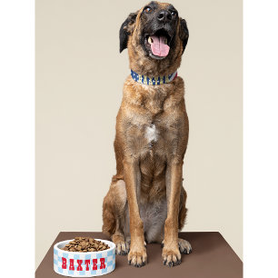 Retro Blue White Chequered Dog Puppy Cat Name Food Bowl