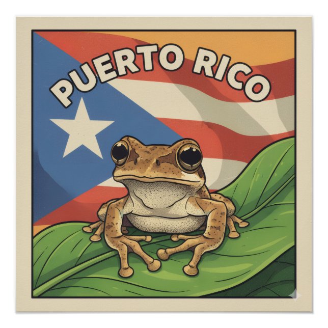 Retro Boricua Pride Poster (Front)
