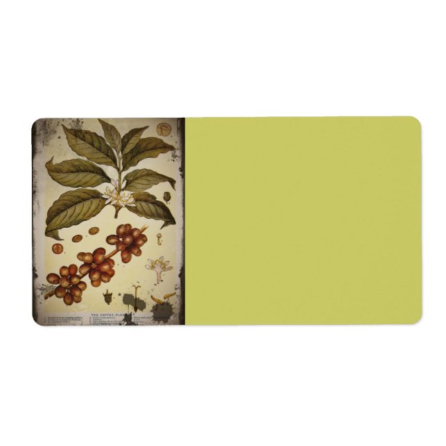 Retro Botanical Image Coffee (Front)