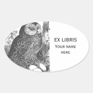 Retro brooding owl drawing bookplate oval sticker