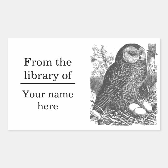 Retro brooding owl drawing bookplate rectangular sticker (Front)