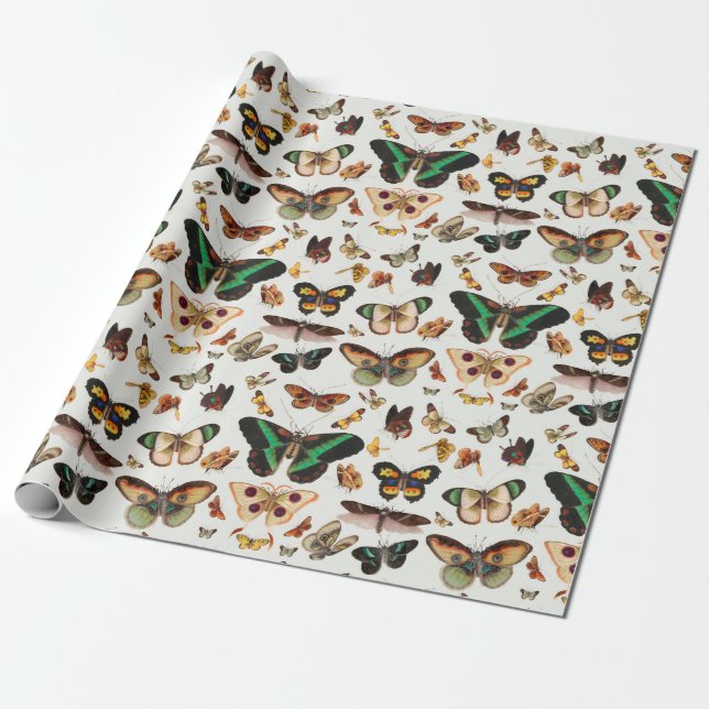 Retro butterflies wrapping paper (Unrolled)