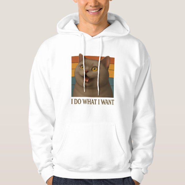 Retro Cat Attitude   Hoodie (Front)