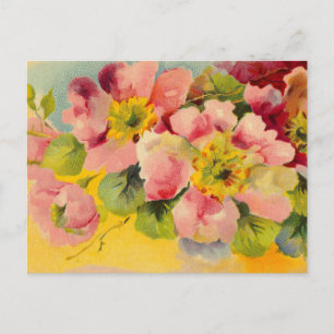 Retro Chic Elegant Pink Vintage Floral Primroses Postcard