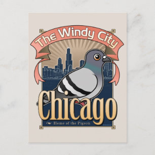 Retro Chicago Pigeon Postcard