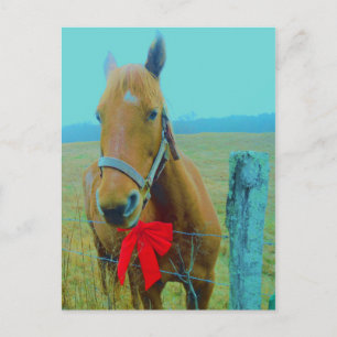 retro Christmas Horse Holiday Postcard