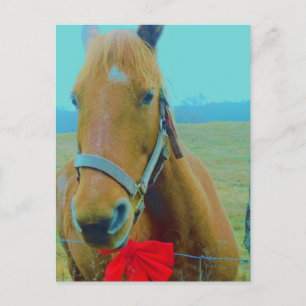 retro Christmas Horse Holiday Postcard