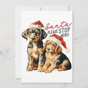 Retro Christmas Puppy Santa Please Stop Cute Dogs Holiday Card