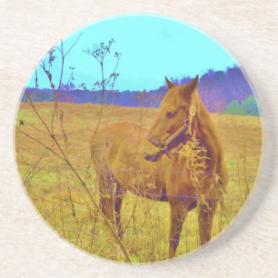 Retro Coloured Horse Coaster