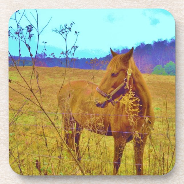 Retro Coloured Horse Coaster (Front)