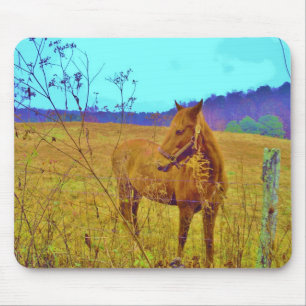 Retro Coloured Horse Mouse Mat