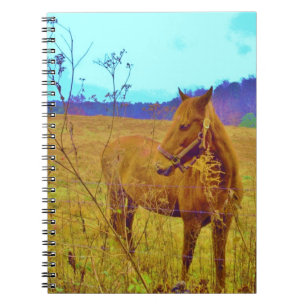 Retro Coloured Horse Notebook