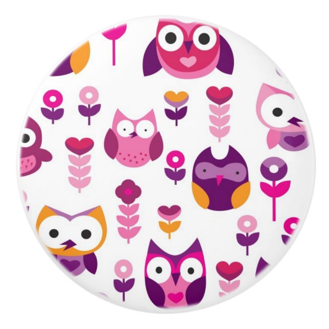 retro colourful owl bird pattern ceramic knob (Front)