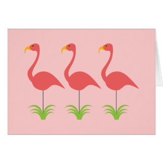 Retro Coral Pink Flamingos for Any Occasion