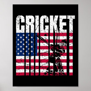 Retro Cricket American Flag Design Poster