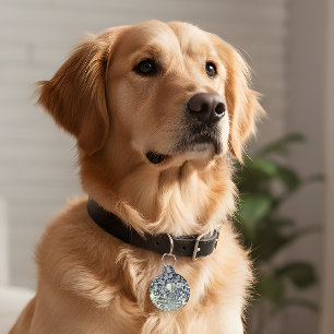 Retro Disco Ball Pet ID Tag – Groovy & Safe!