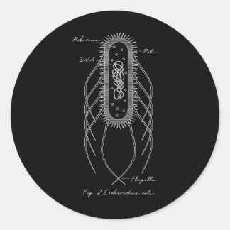 Retro E. Coli Schematic Diagram Microbiology Scien Classic Round Sticker