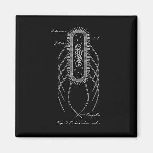Retro E. Coli Schematic Diagram Microbiology Scien Magnet