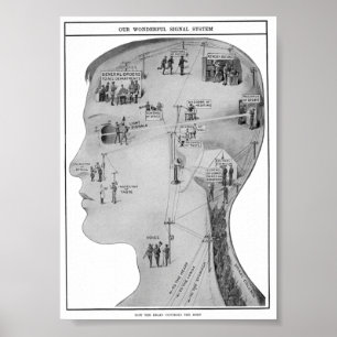 Retro educational  poster