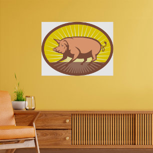 Retro Farm Pig with Sunburst Poster