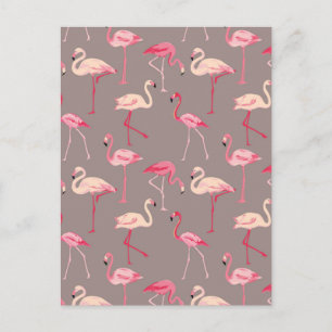 Retro Flamingos 2 Postcard