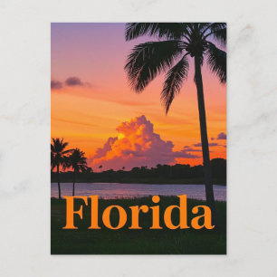 Retro Florida Sunset: A Vintage Paradise Postcard