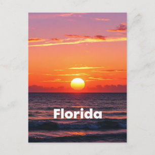 Retro Florida Sunset: Ocean Hues & Vintage Dreams Postcard