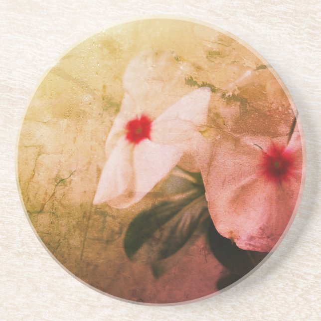 Retro Flowers Photo Sandstone Drink Coaster (Front)