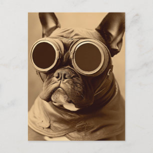 Retro Frenchie Sepia Postcard
