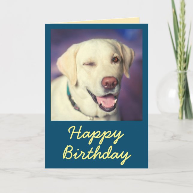 Retro Funny Dog and Happy Birthday Card (Front)