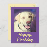 Retro Funny Dog and Happy Birthday Postcard<br><div class="desc">It's the Retro Funny Dog and Happy Birthday Postcard.
The cute retriever winking is lovely.
You can insert your messages.

It will make your friend laugh.
This will be a meaningful gift and make your friend laugh.

Convey congratulations now and Be one of the few.</div>