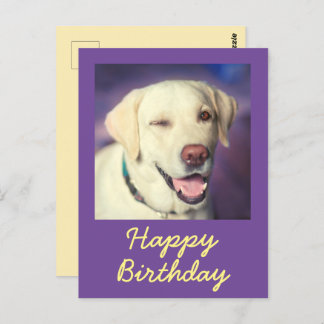 Retro Funny Dog and Happy Birthday Postcard