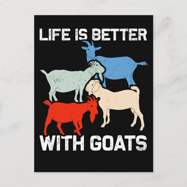 Retro Goats Animal Humour Goat Fan Postcard (Front)
