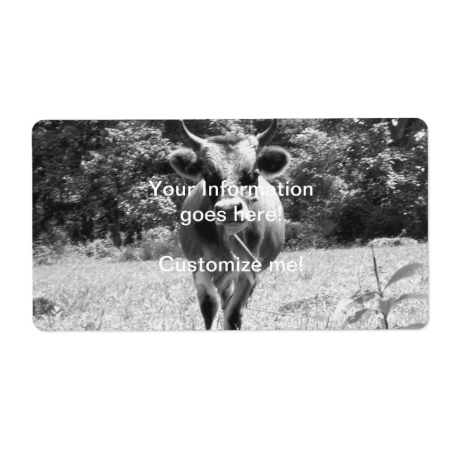 Retro Grey Bull Photo (Front)