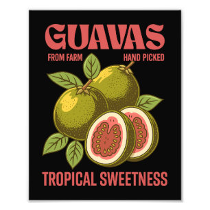 Retro Guavas Fruit Commercial Graphic Art Style Photo Print