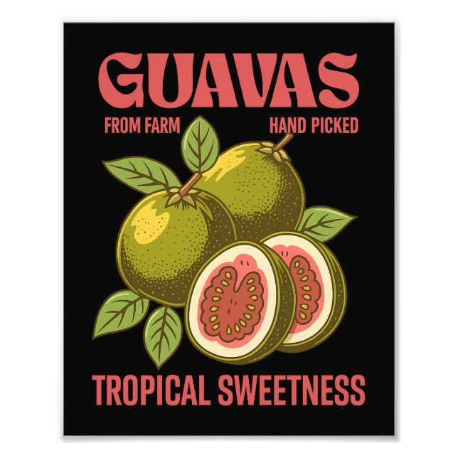Retro Guavas Fruit Commercial Graphic Art Style Photo Print (Front)