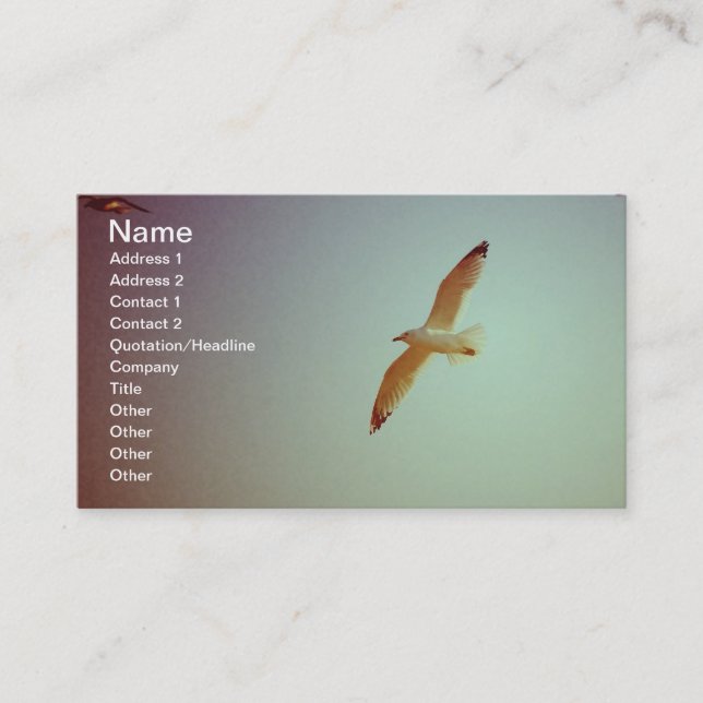 Retro Gull Business Card (Front)
