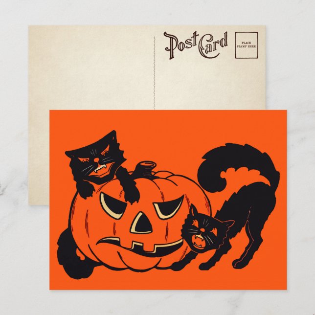 Retro Halloween Cats Postcard (Front/Back)