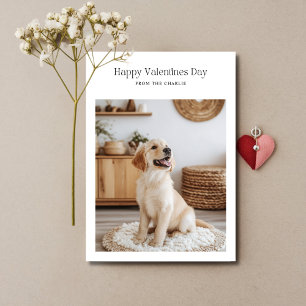 Retro Happy Valentines Day Dog Pet Funny Cards