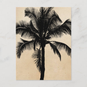 Retro Hawaiian Tropical Palm Tree Silhouette Black Postcard