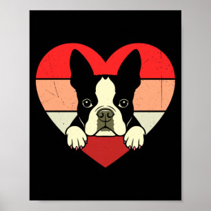 Retro Heart Boston Terrier Dog Vintage Valentine W Poster