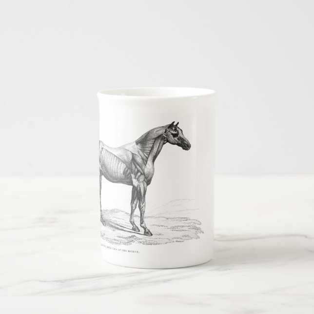 Retro horse muscle anatomy picture bone china mug (Front)